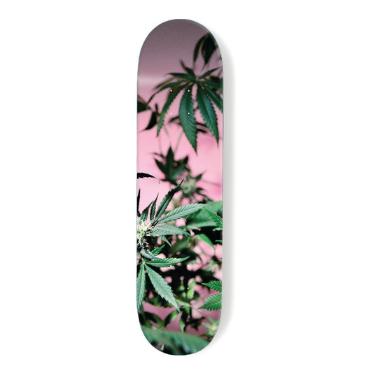 Coloured Cannabis Series 2