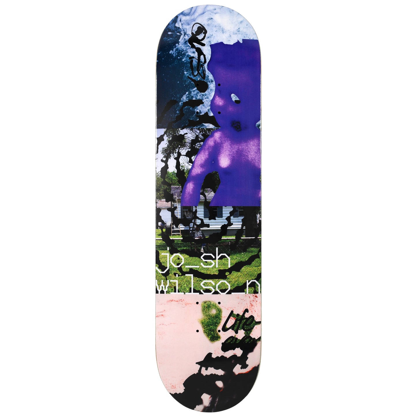 Wilson 'Needmore' [8”]