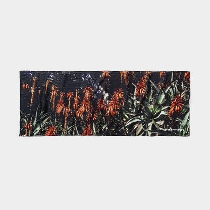ALOE TENUGUI