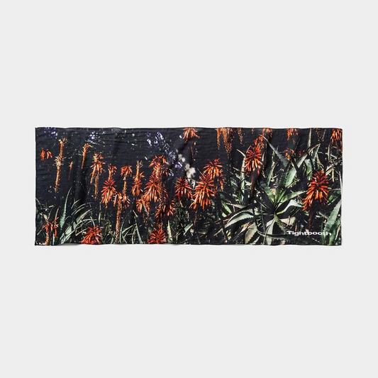 ALOE TENUGUI