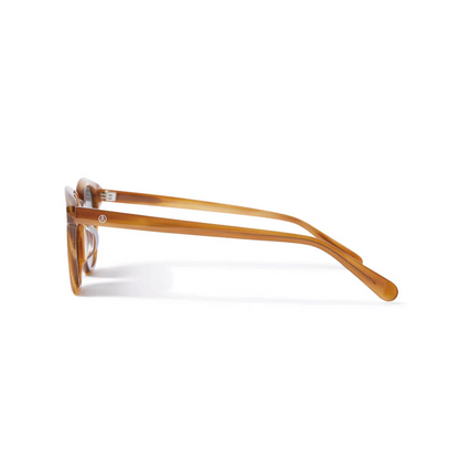 EVISEN SUNGLASSES - BROWN