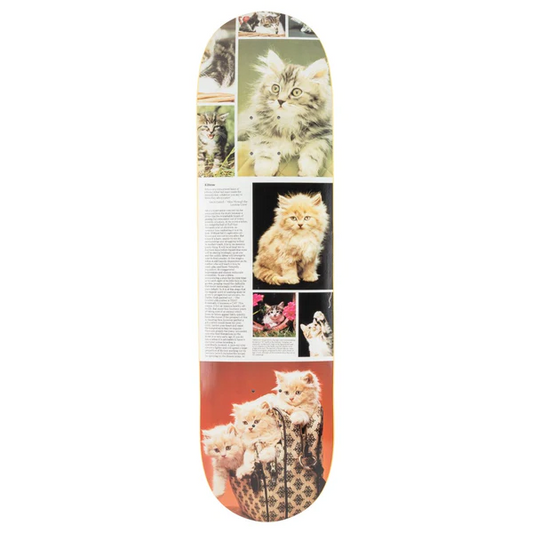 STUDIO Cat Book - Kittens - Skateboard